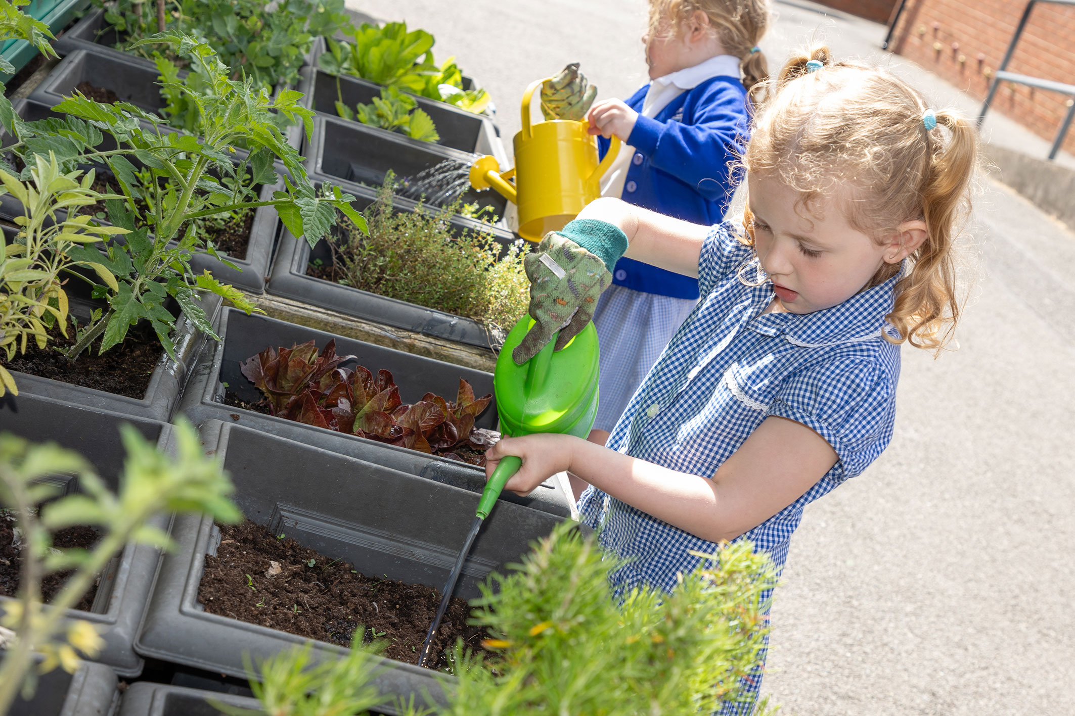 Child gardening at Thornton